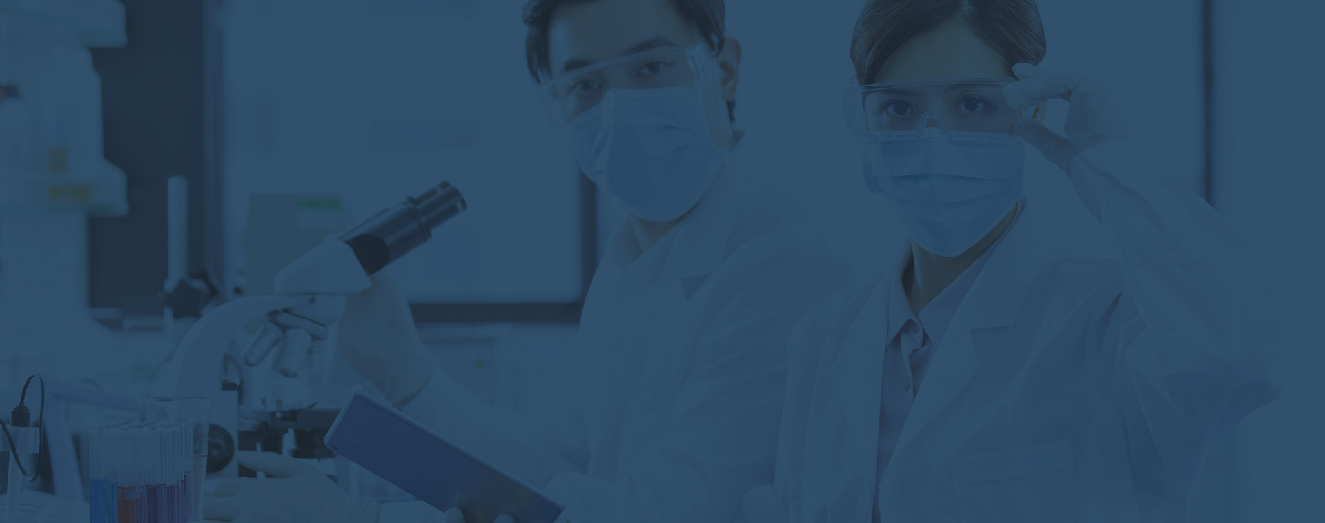 智造实力配景图